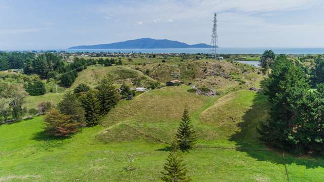 304 Ngarara Road Waikanae_1