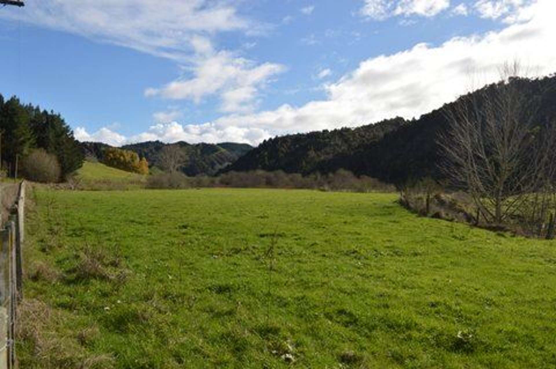 41 Koromiko Road Waimiha-Ongarue_0