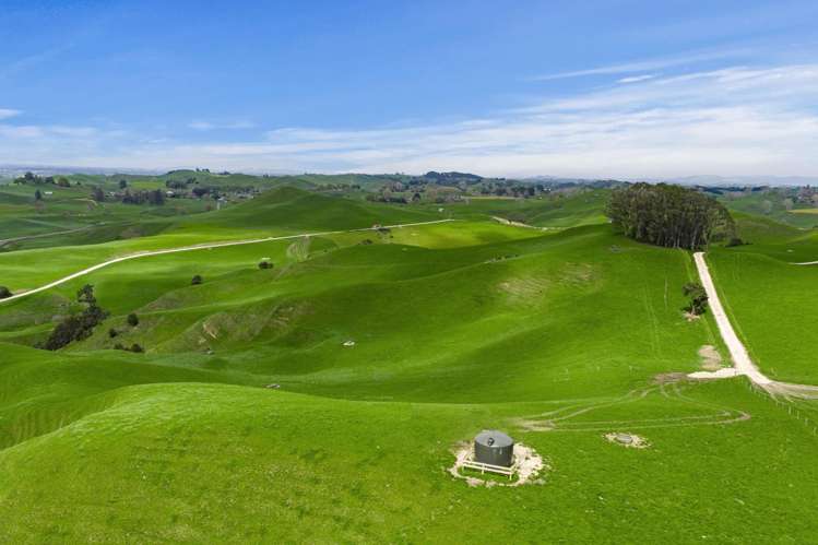 310 Paparamu Road Piarere_6