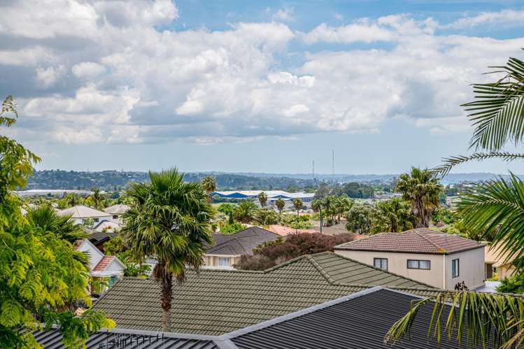 19 Highfields Terrace Henderson_40