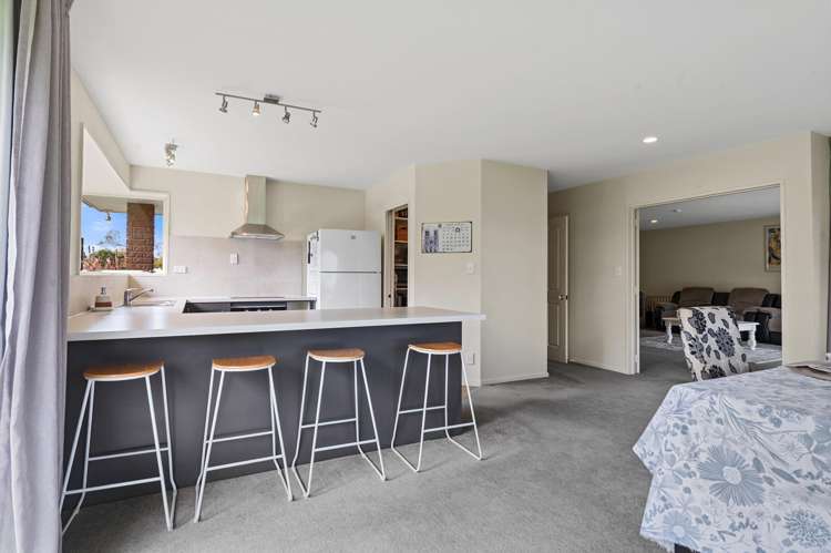 297 Pannetts Road Springston_8