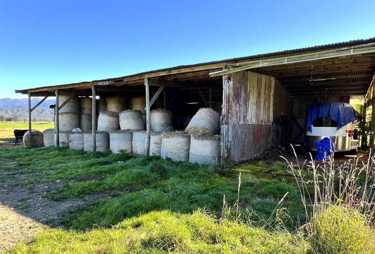 Gannons Road Reefton_15