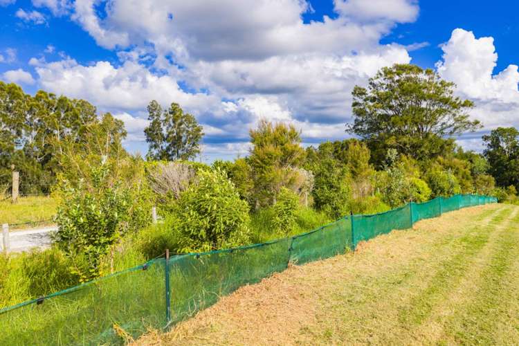 Lot 2 1124 Kaiwaka-Mangawhai Road Mangawhai_9