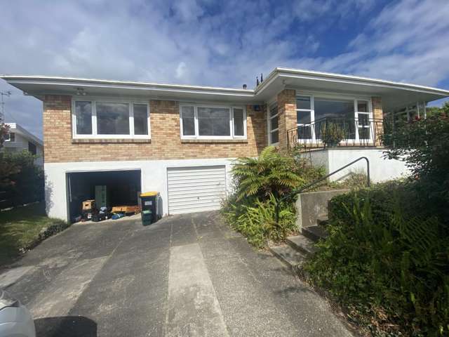 19 Elizabeth Avenue Morrinsville_1