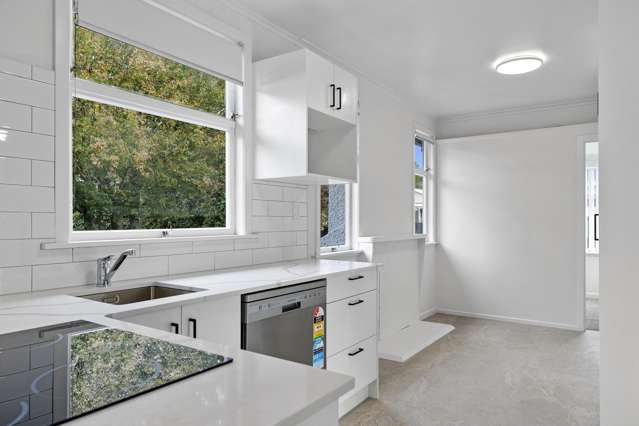 56A Pihanga Street Central_1