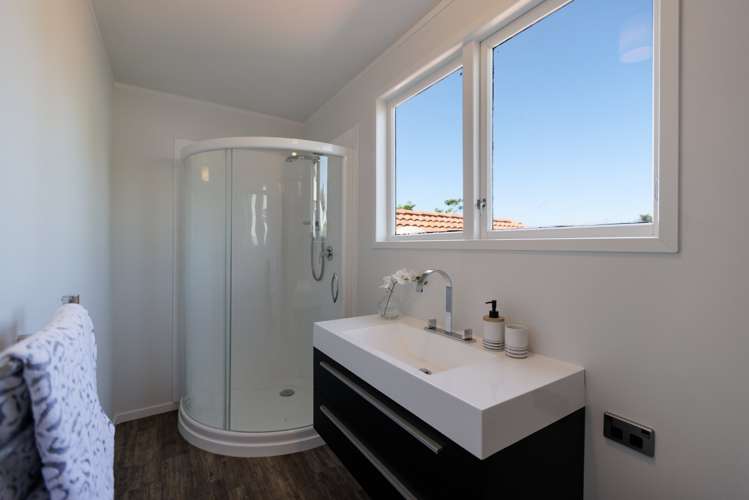 54 Princess Road Bellevue_14