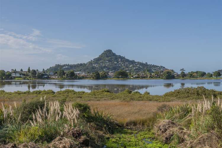 123 Pepe Road Tairua_30