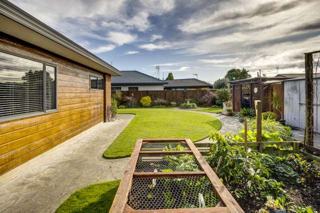 165 Auckland Road Greenmeadows_2