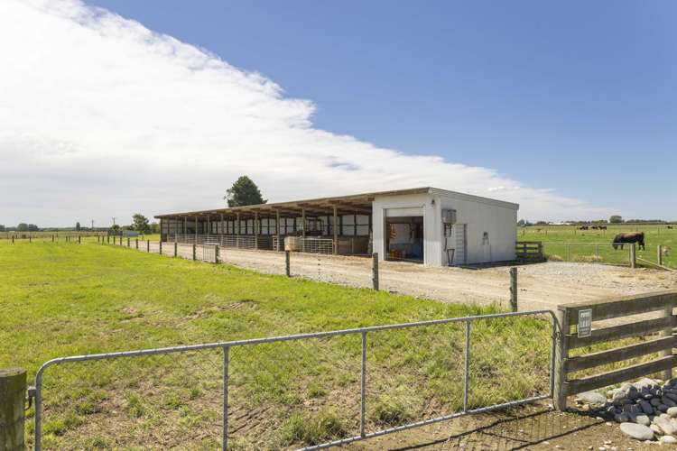 47 Wilson Road Timaru_20