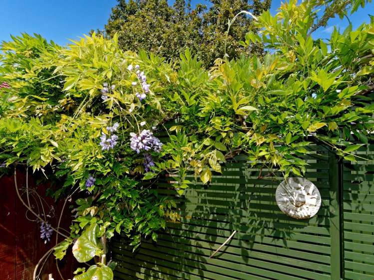 30a Buscomb Avenue Henderson_12