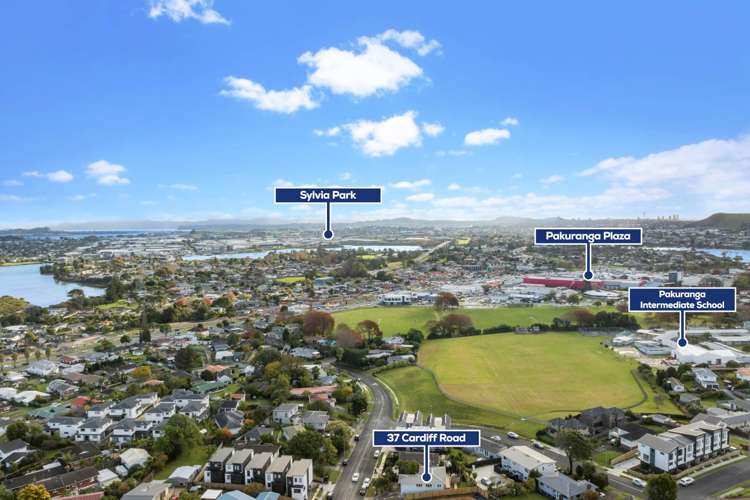 37 Cardiff Road Pakuranga_21