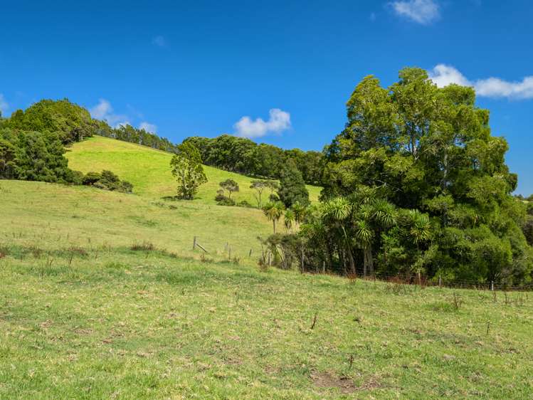 234 Muriwai Valley Road Muriwai_17