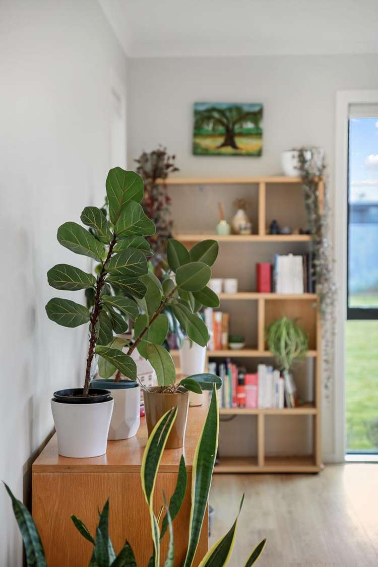 11 Aerodrome Road Burleigh_19