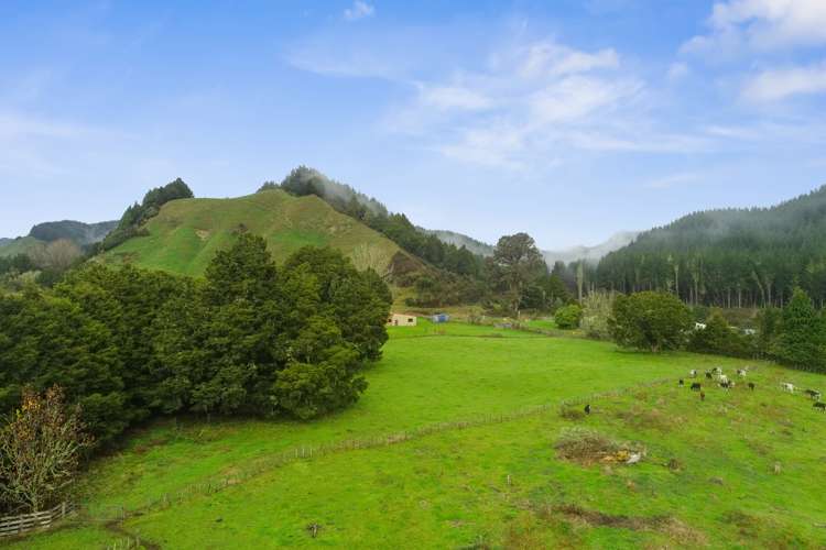 1402 Kaitieke Road Owhango_8