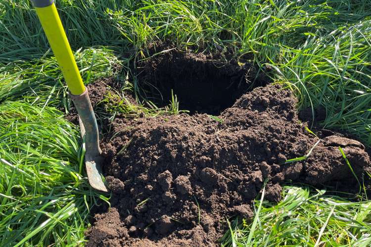 213 Black Swamp Road Mangawhai_4