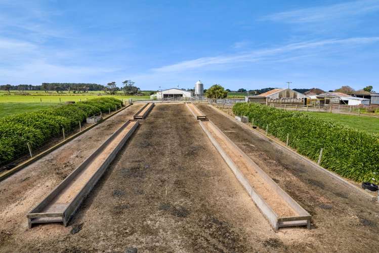 577 Patiki Road Pihama_12