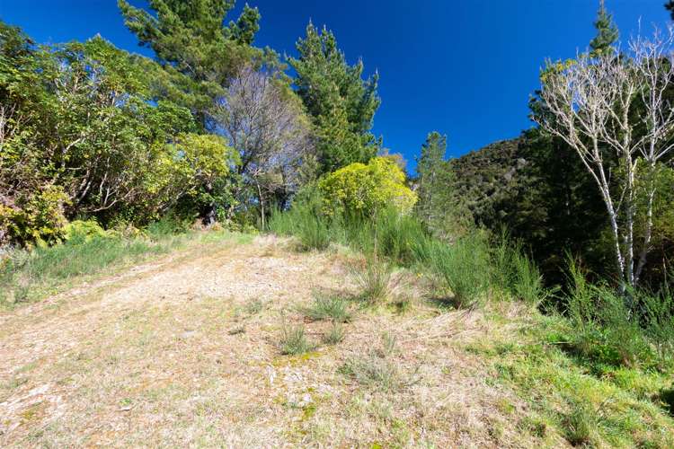 1000 Wakamarina Road Havelock_8