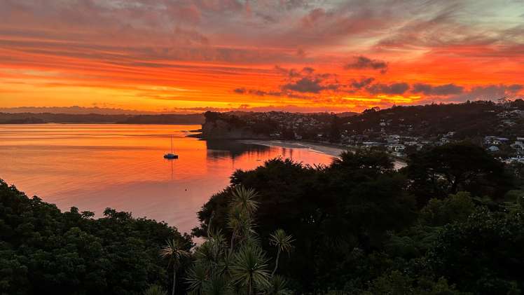 785 Whangaparaoa Road Manly_29