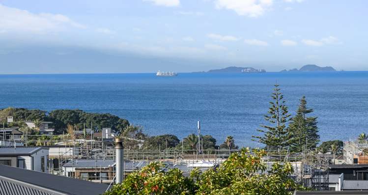 47d Hastings Road Mairangi Bay_12