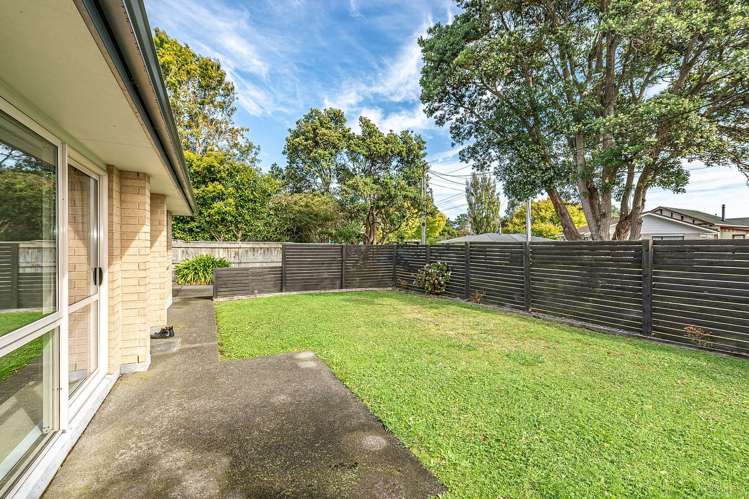 3 Plunket Street Durie Hill_1