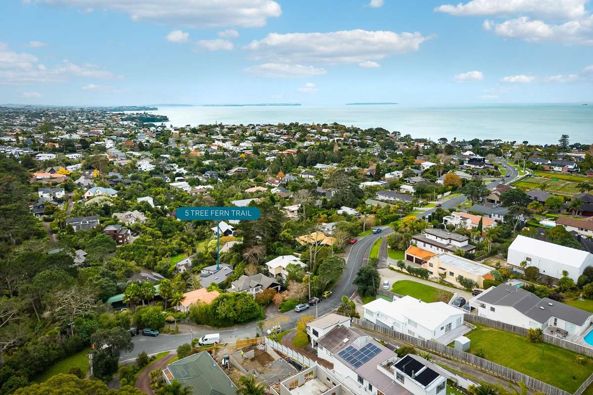 5 Tree Fern Trail_0
