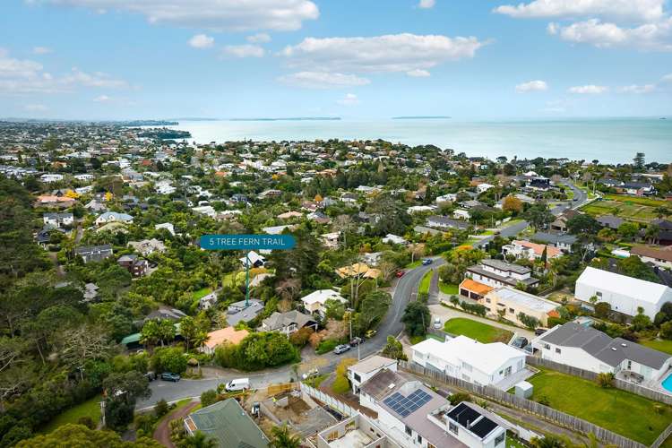 5 Tree Fern Trail_0