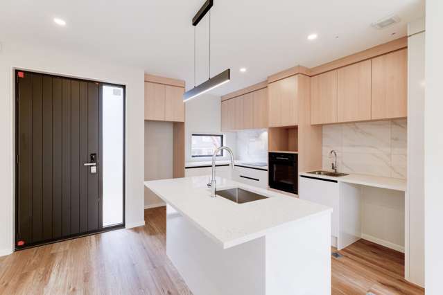 16E Roseman Avenue Mount Roskill_2