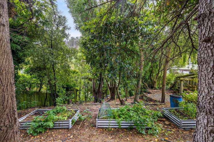 102 Bowenvale Avenue Cashmere_21