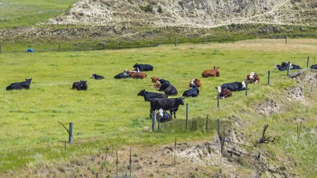 170 Church Road Waipara_4
