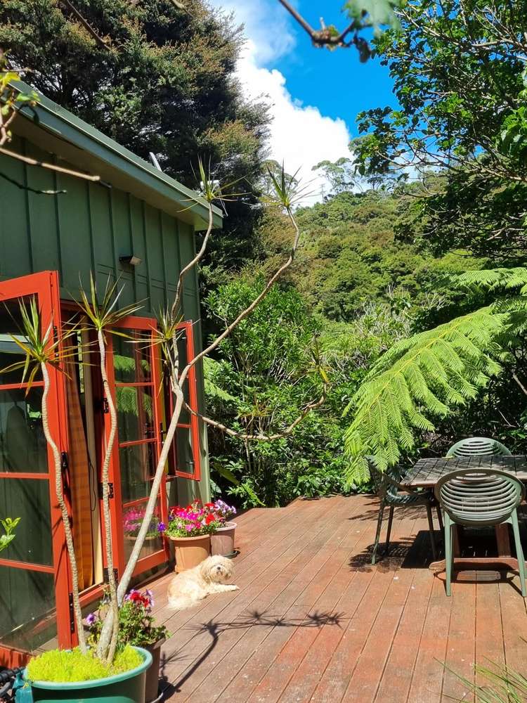 3 Nepean Avenue Orapiu_16