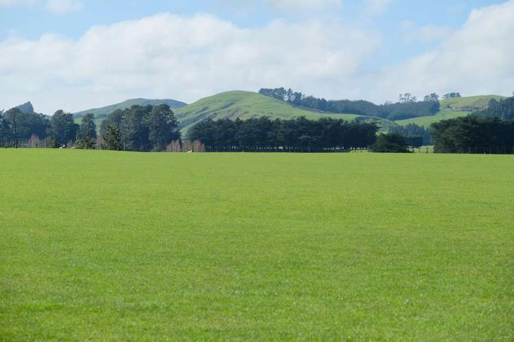 63 Hamilton Road Dannevirke_15