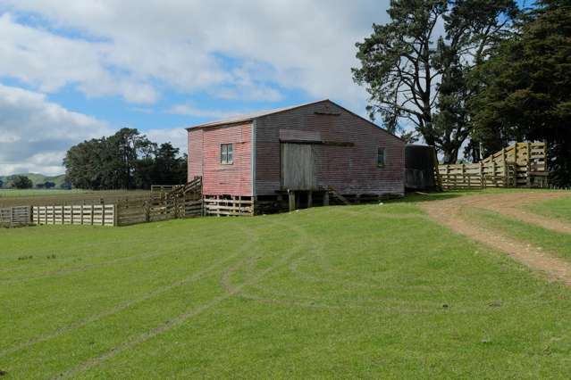 63 Hamilton Road Dannevirke_4