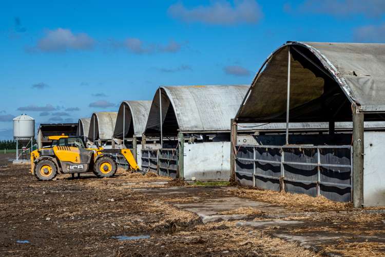 319 Methven Chertsey Road Methven_16