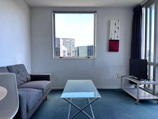 7f/15 City Road Auckland Central_2