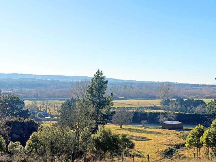 773 Mount Thomas Road Fernside_29