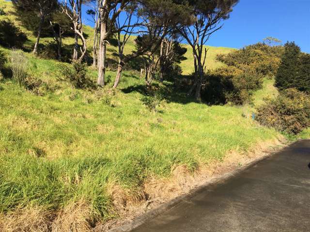 17 Te Mata Drive Te Mata_4