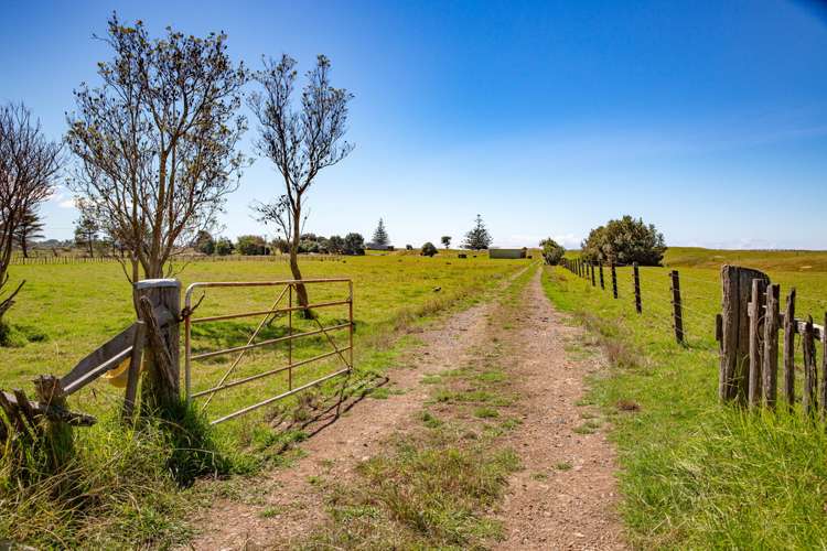 1905 Pataua North Road Pataua_8