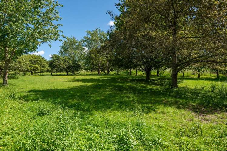 435 Pine Valley Road Dairy Flat_56