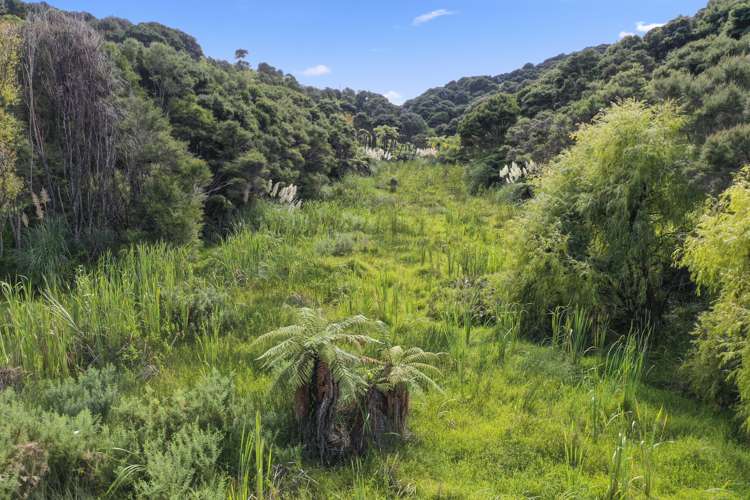 138 Paroa Bay Road Russell_15