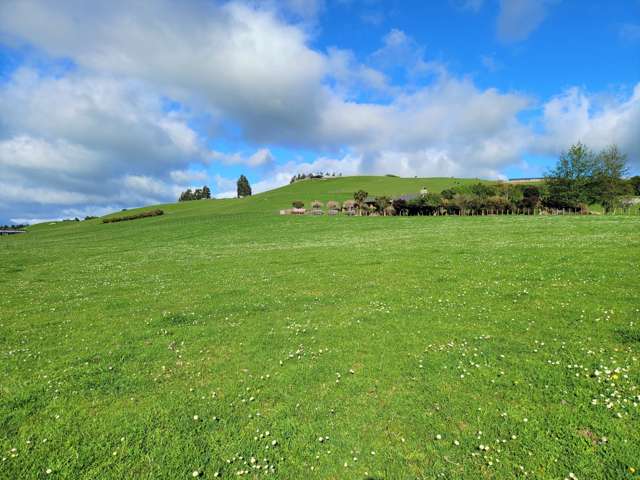 143h Smith Road Dannevirke_2