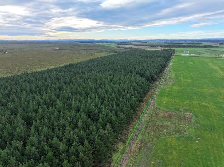 820 Holz Road Gorge Road_13