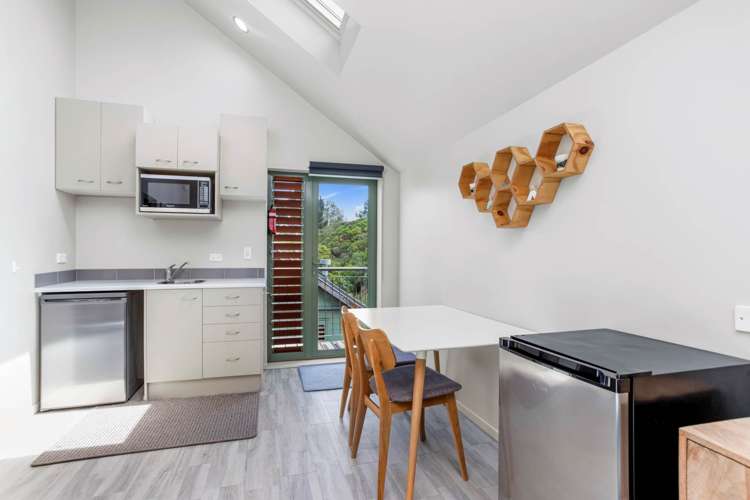 2a Norgrove Avenue Mount Albert_19