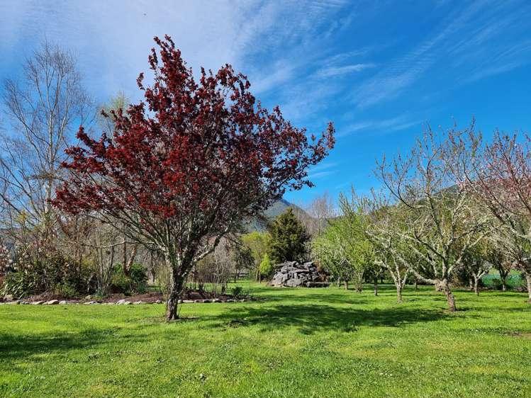 1163 Takaka Valley Highway Kahurangi National Park_26