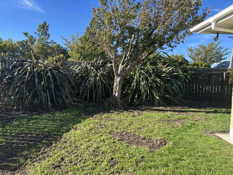 44 Fox Street 1271_10