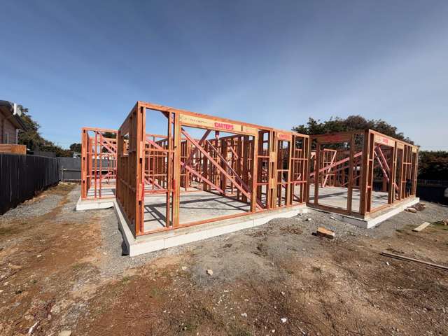 35 West Plains Road Waikiwi_1