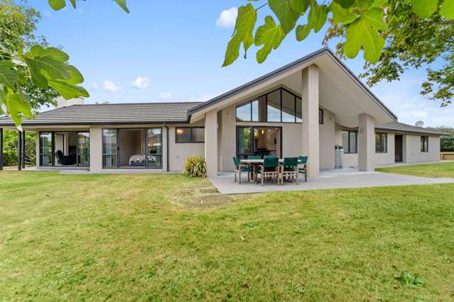 3 Mountain View Road Te Aroha_2