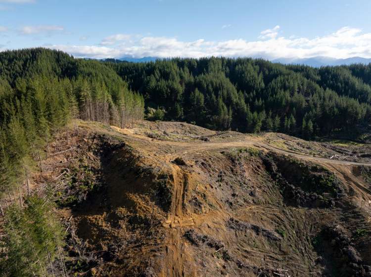 Supplejack Valley Road Upper Moutere_7