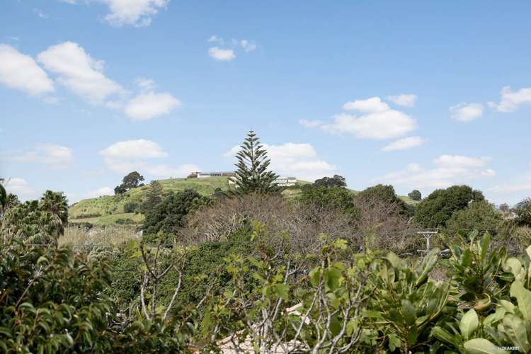 14b Albert Road Devonport_13