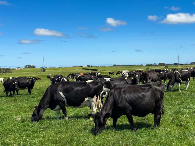 251 Rakahouka Hedgehope Road Mabel Bush_1