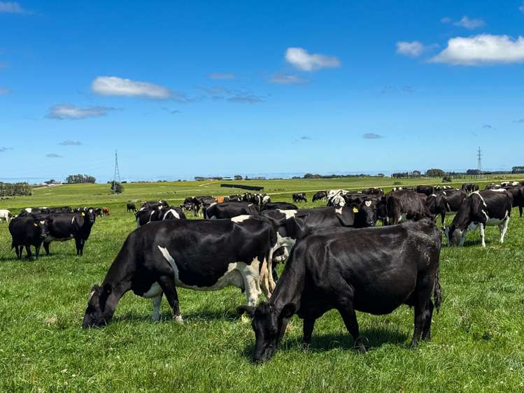 251 Rakahouka Hedgehope Road Mabel Bush_1